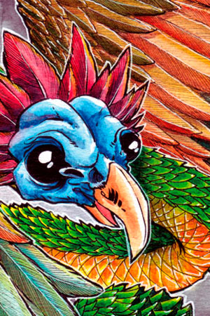 Illustrations